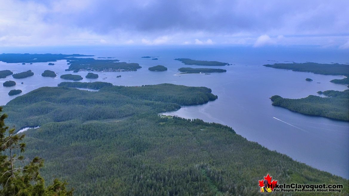 Amazing Lone Cone Mountain View