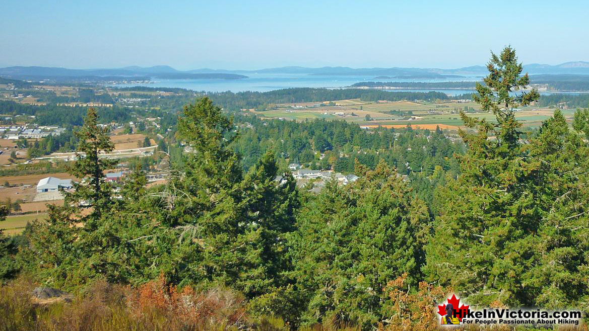 Bear Hill Regional Park in Victoria