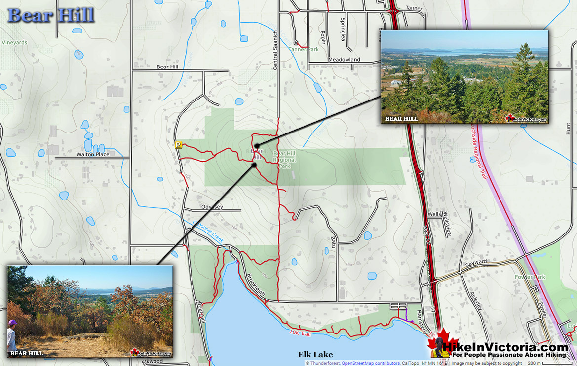 Bear Hill Park Hiking Trail Map