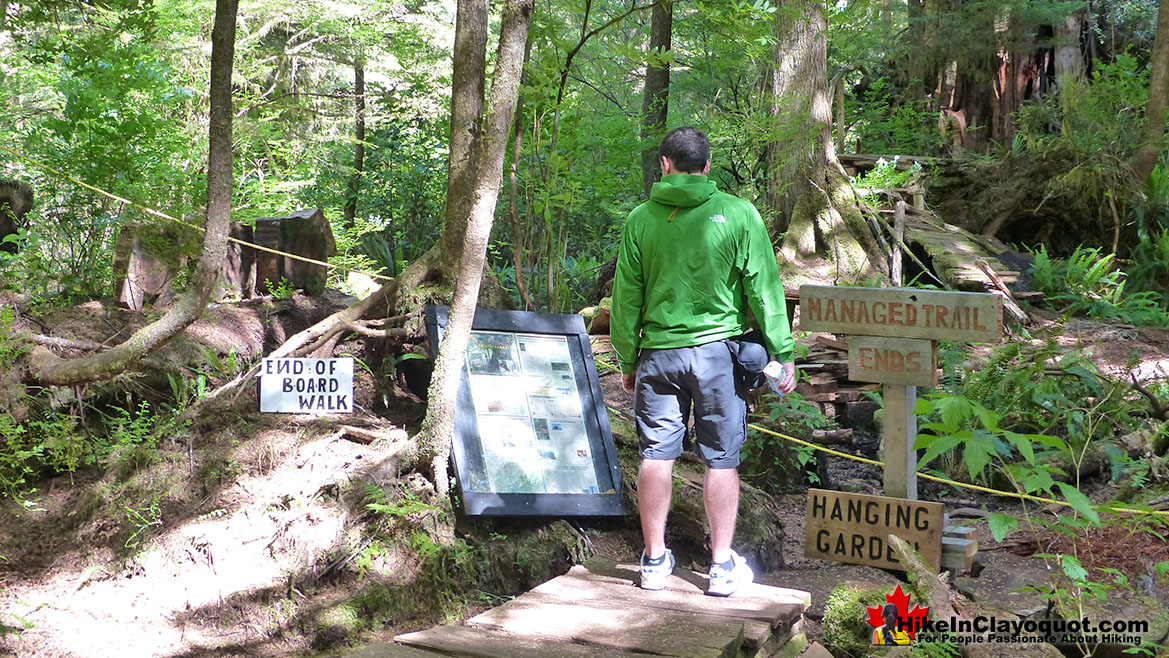 The Big Tree Trail