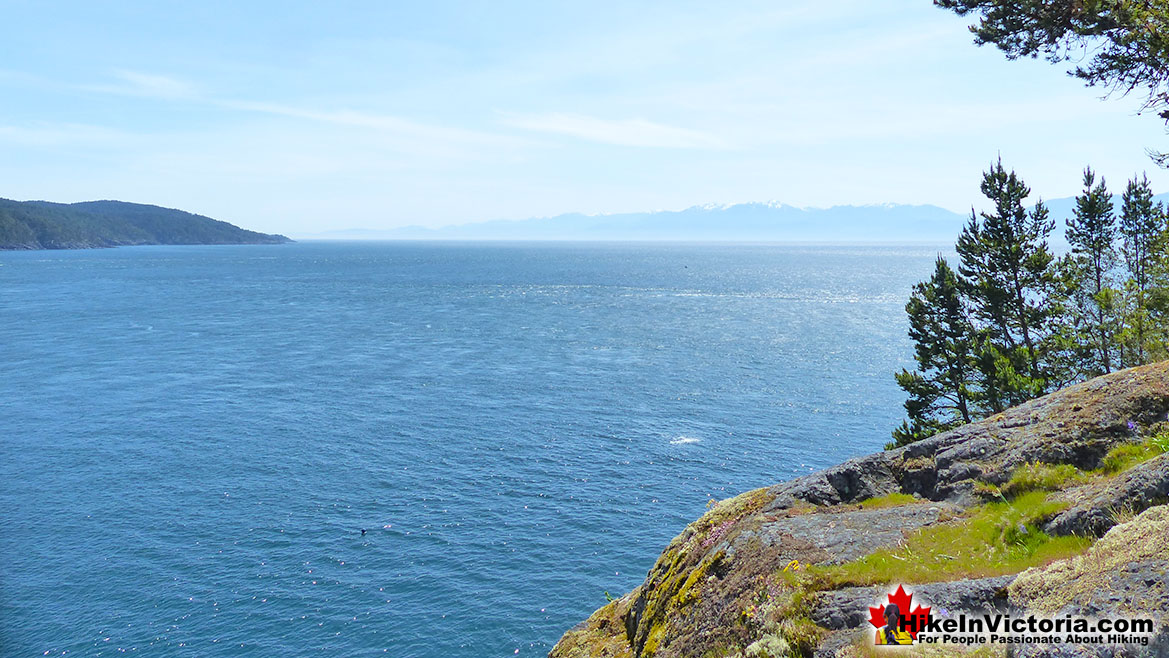 East Sooke Park Hike in Victoria
