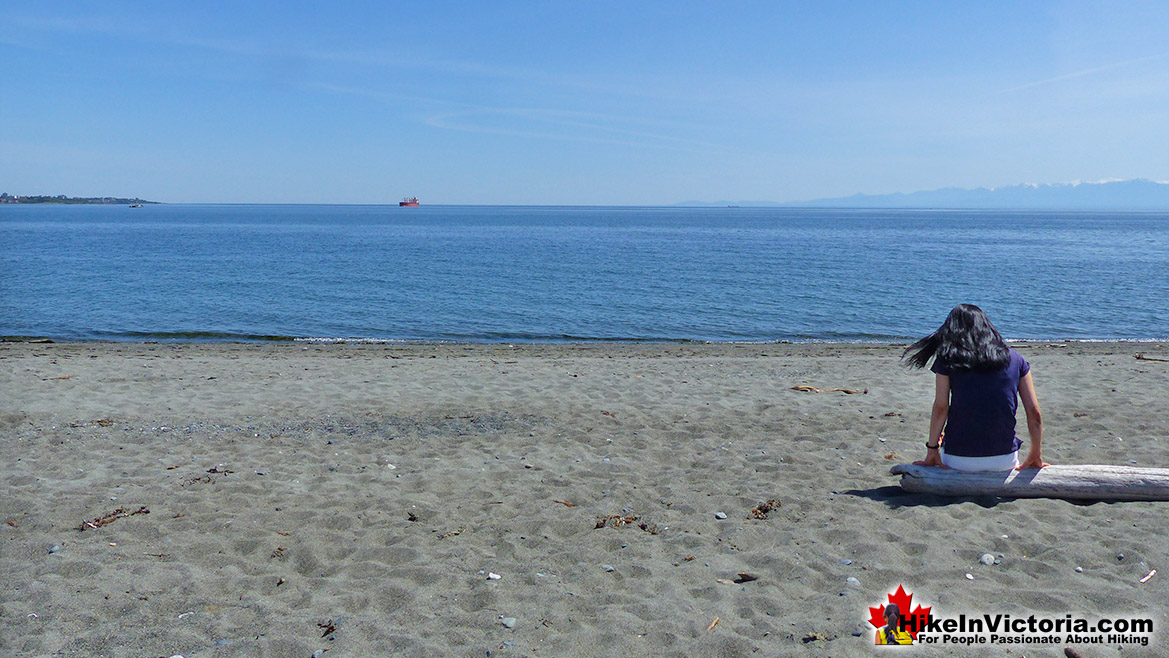 Esquimalt Lagoon Hike Victoria