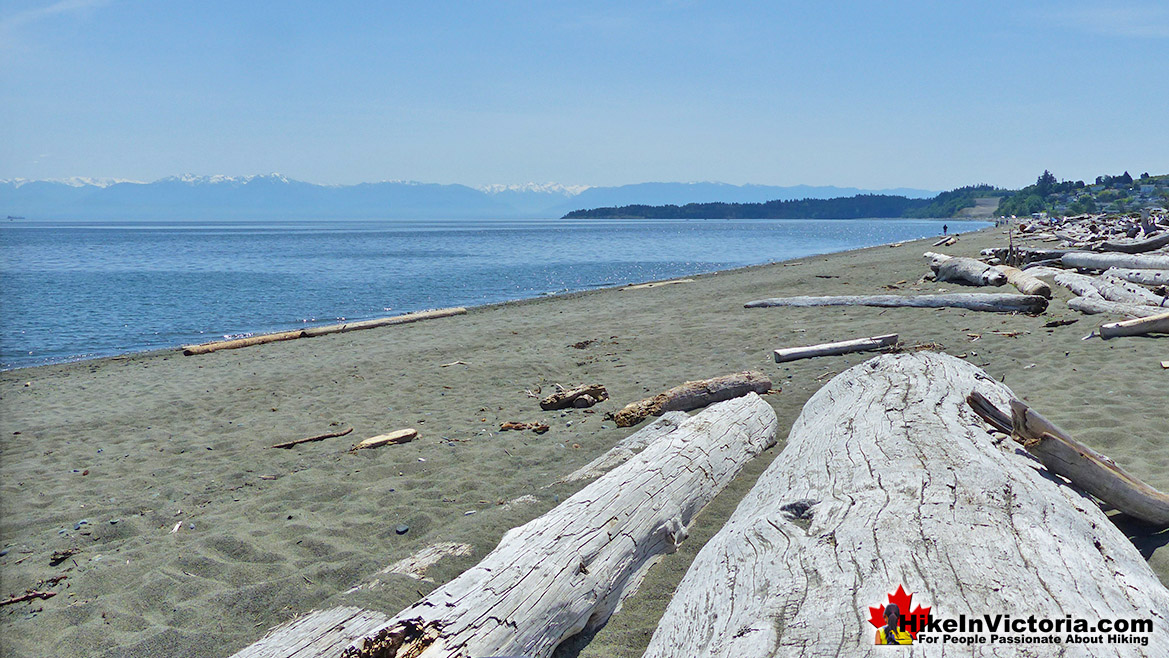 Esquimalt Lagoon Hike Victoria