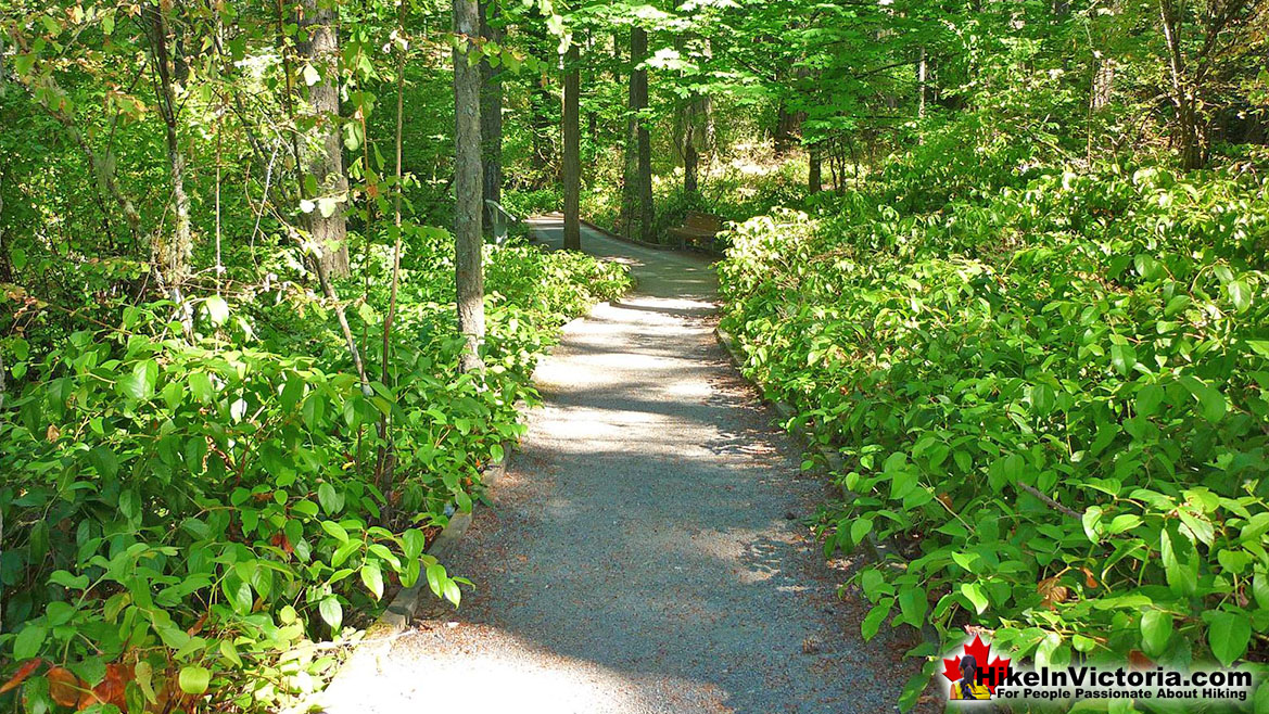 Francis/King Park Hike Victoria