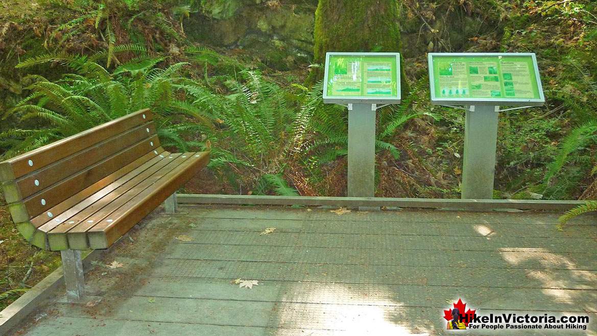 Francis/King Park Hike Victoria
