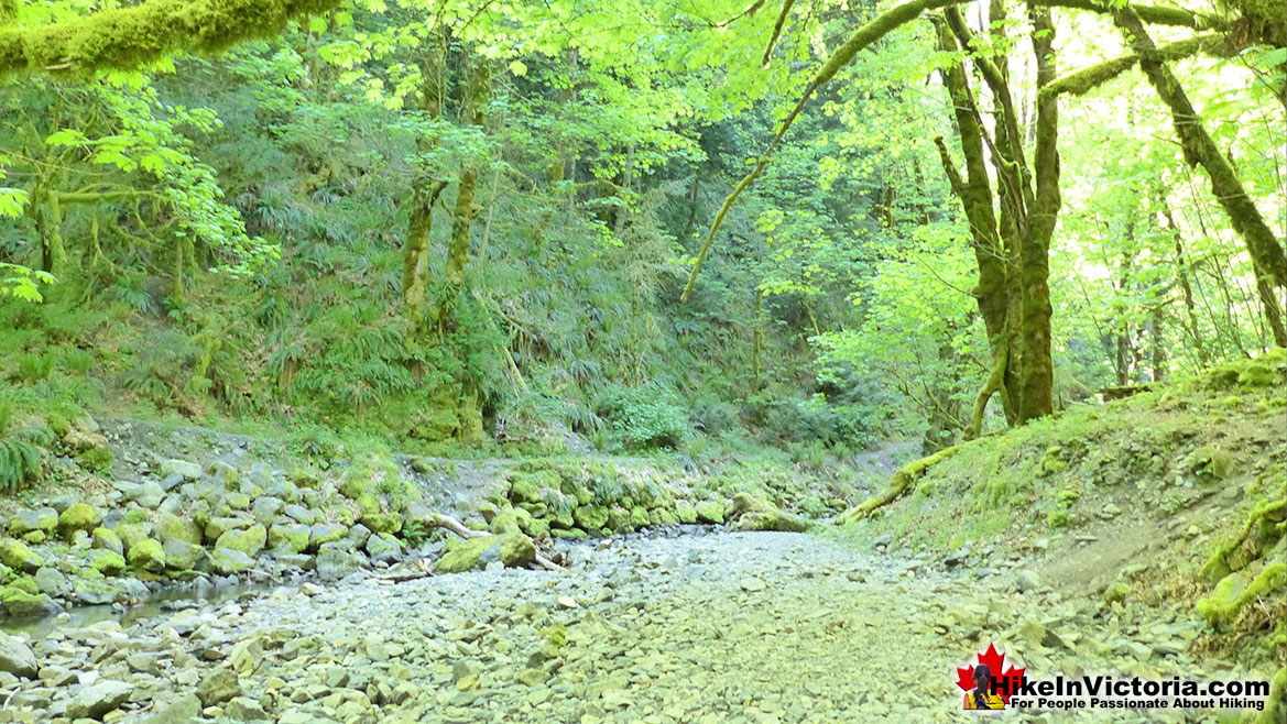Goldstream Park