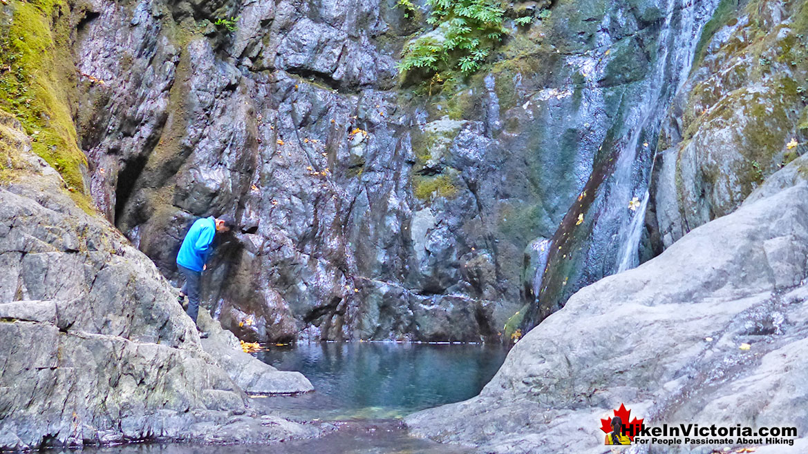 Goldstream Park