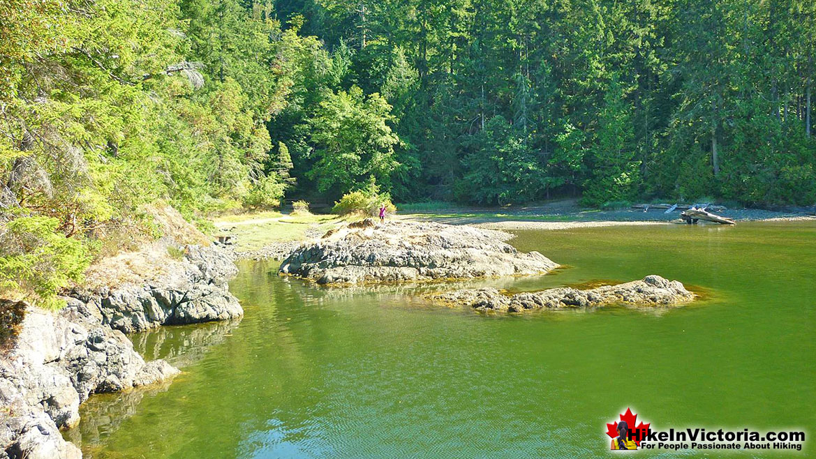 Gowlland Tod Park Hike Victoria