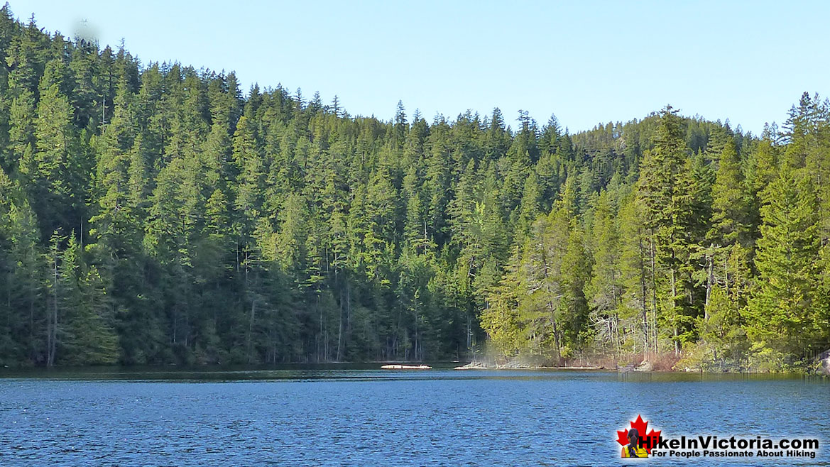 Grass Lake Hike Victoria