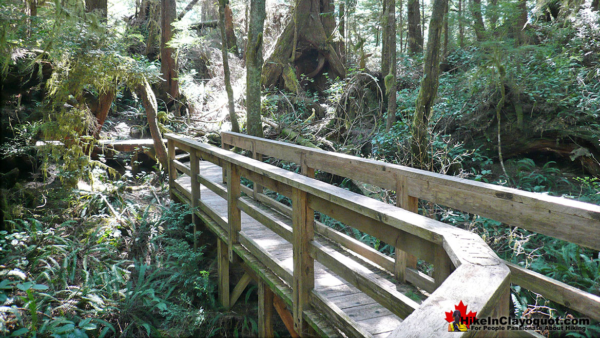 Hot Springs Cove Trail Bridge