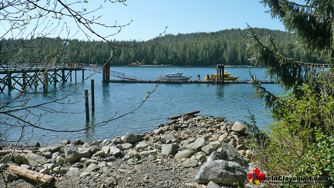 Hot Springs Cove Boat Dock