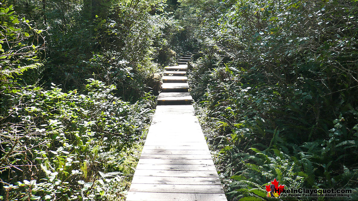 Hot Springs Cove Trail