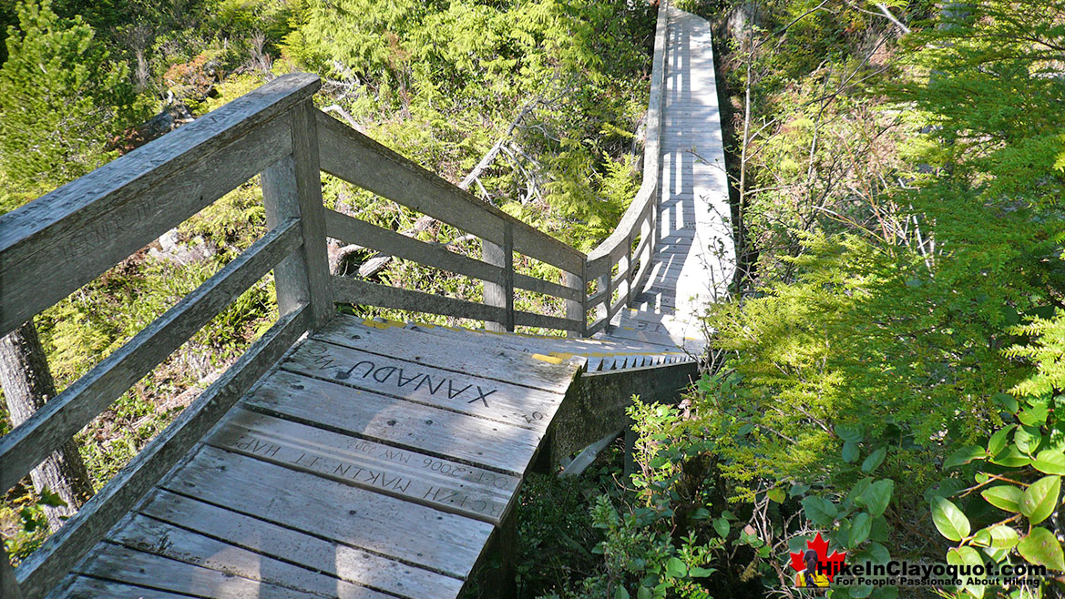 Hot Springs Cove Boardwalk