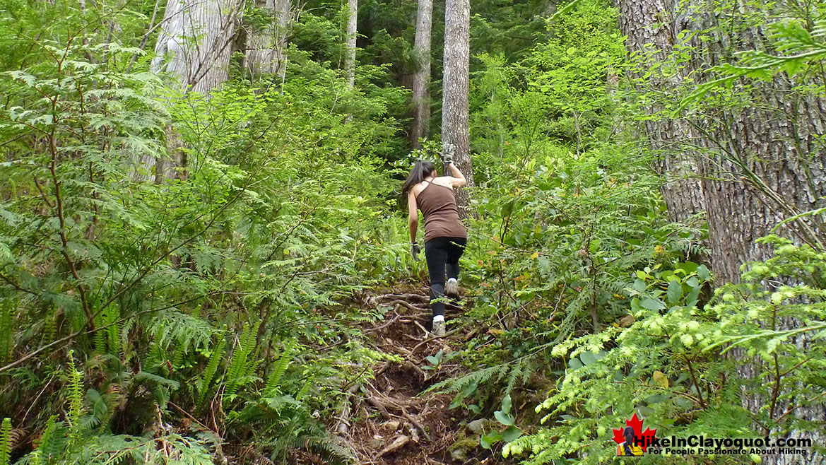 Lone Cone Trail Steep Hike