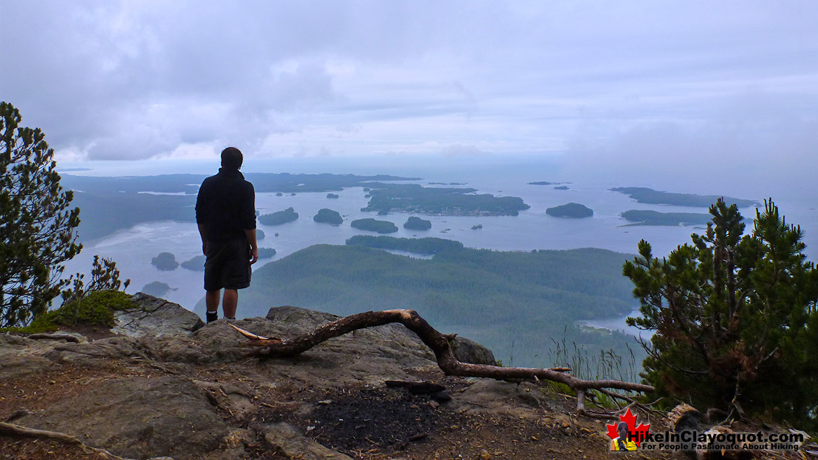 Lone Cone Summit View