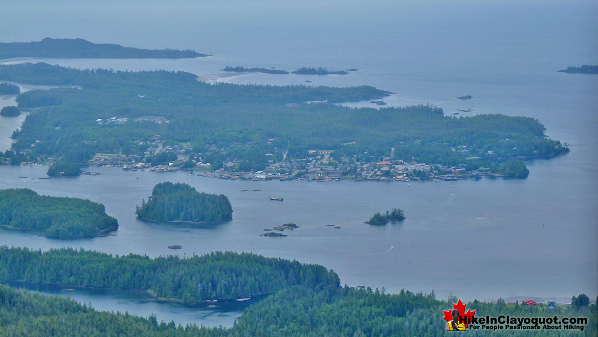 Lone Cone Summit View
