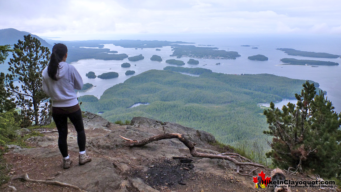 Lone Cone Summit View