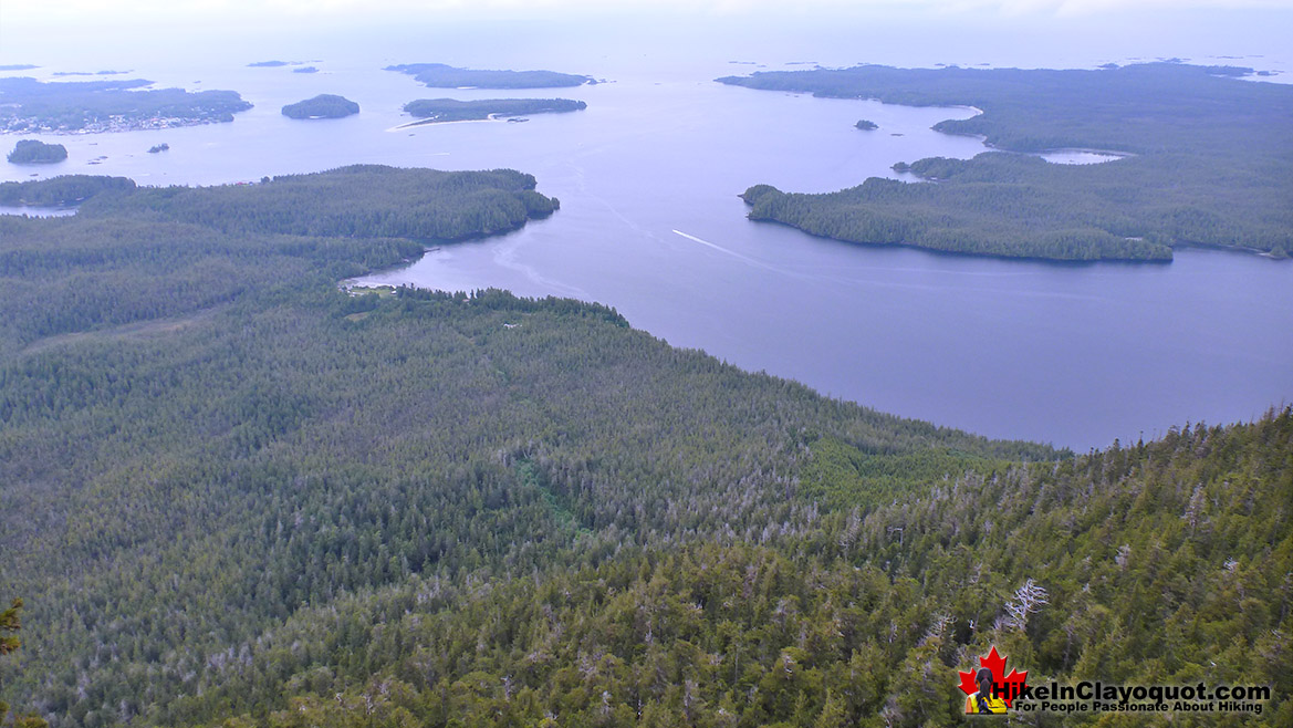 Lone Cone Summit View