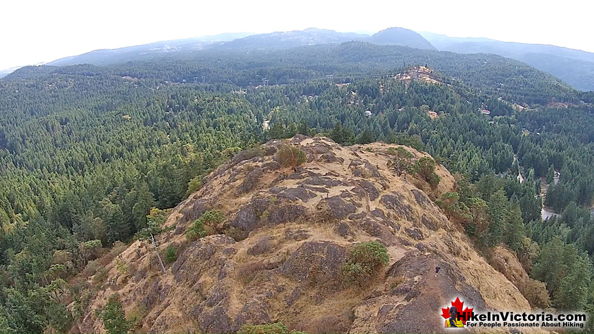 Lone Tree Hill 