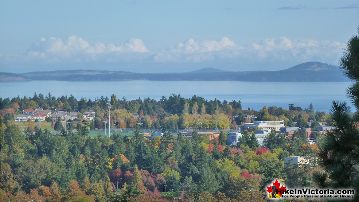 Mount Tolmie View