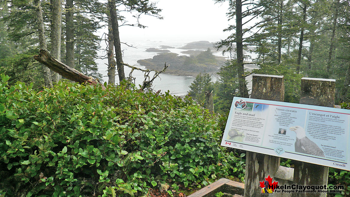 Nuu-Chah-Nulth Trail