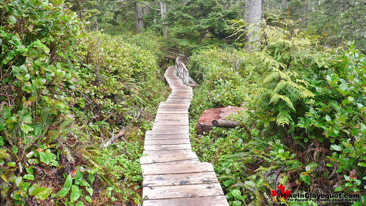 Nuu-Chah-Nulth Trail