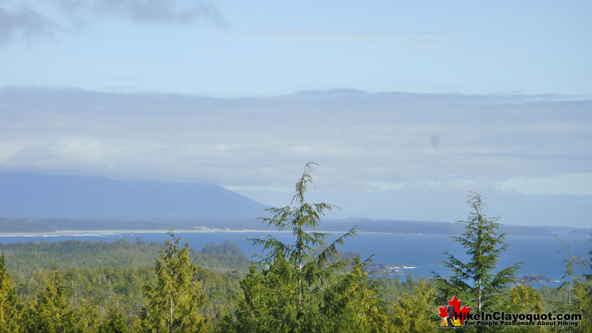 Radar Hill in Tofino