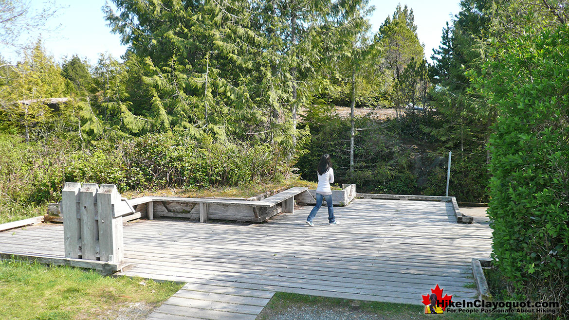 Radar Hill in Tofino