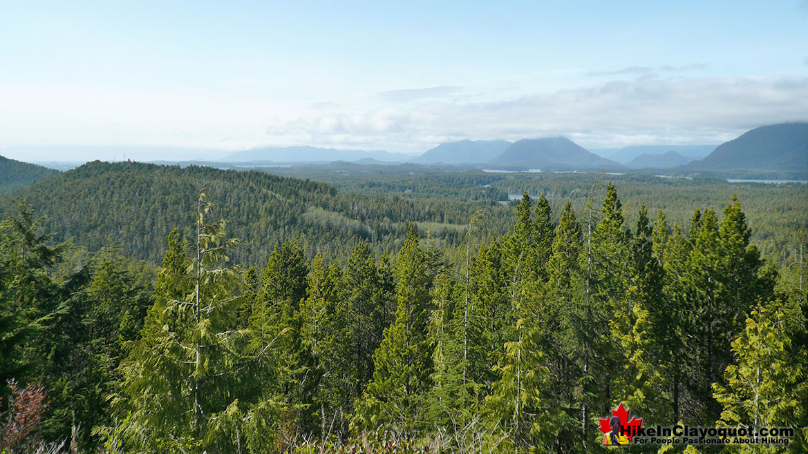 Radar Hill in Tofino