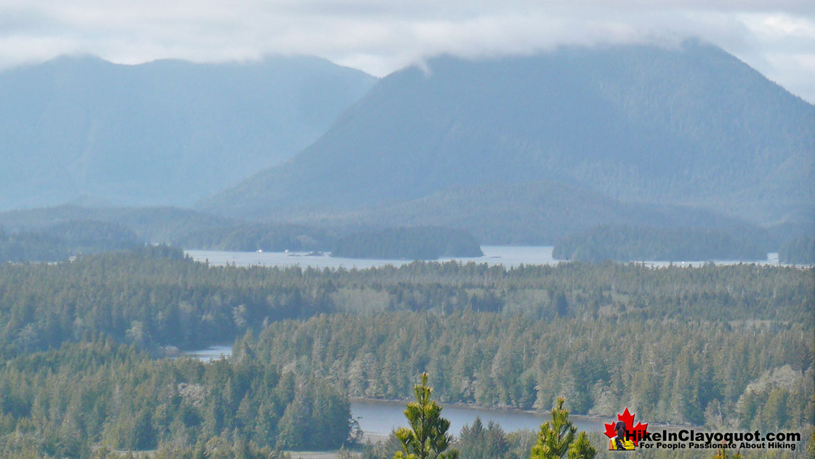 Radar Hill in Tofino