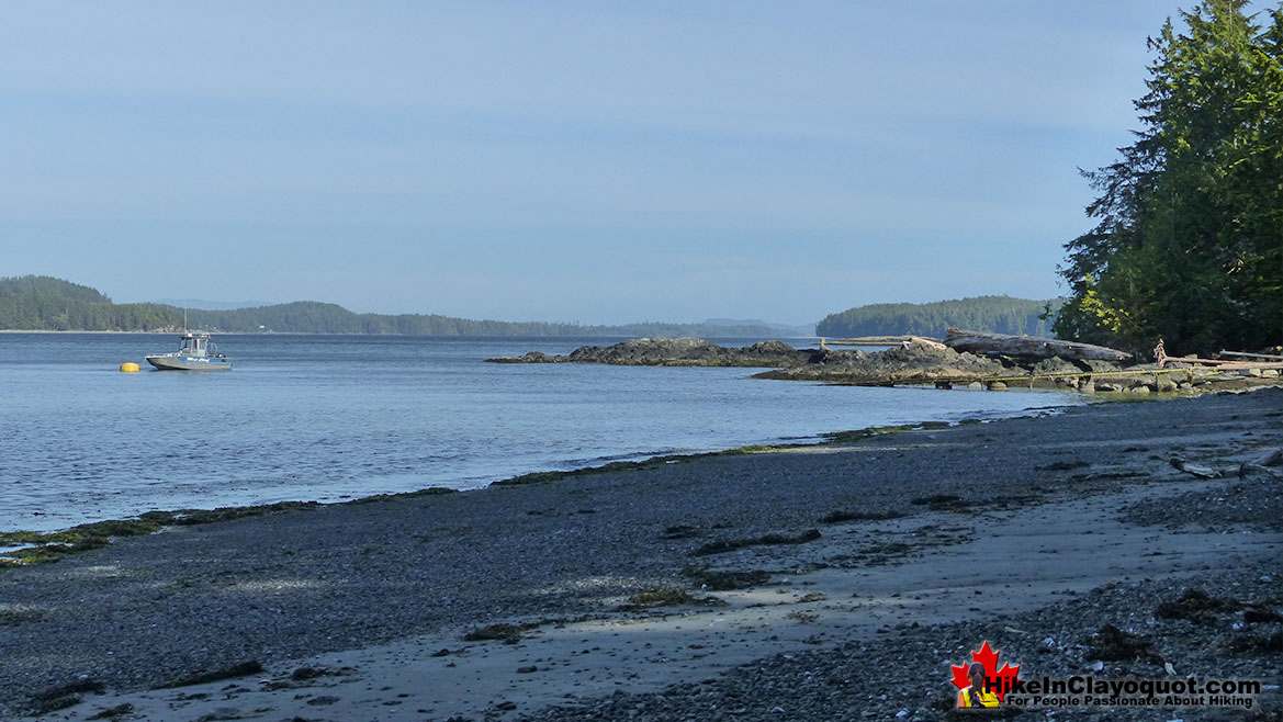 Vargas Island Trailhead Drop Off