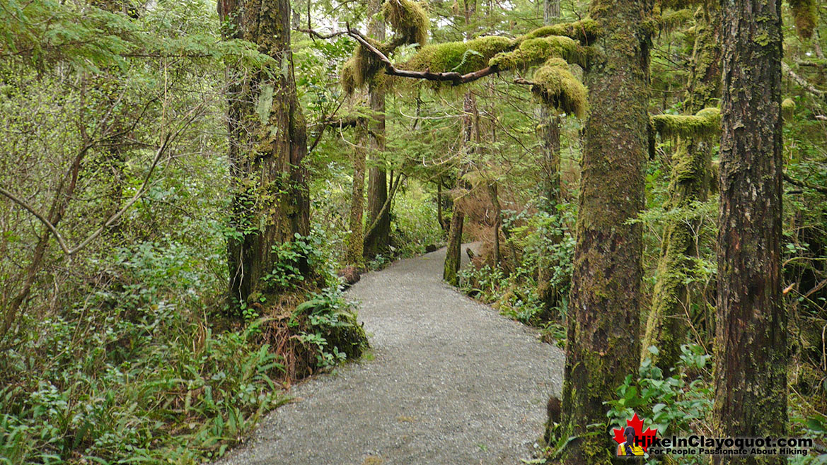 Wild Pacific Lighthouse Trail