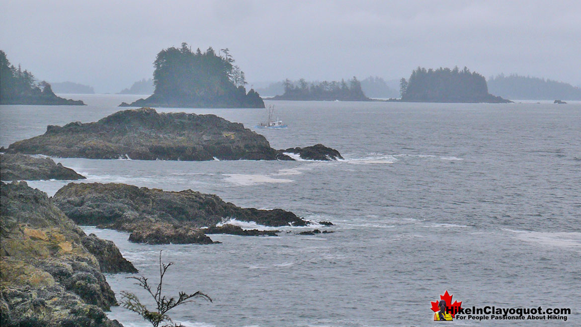 Wild Pacific Lighthouse Trail