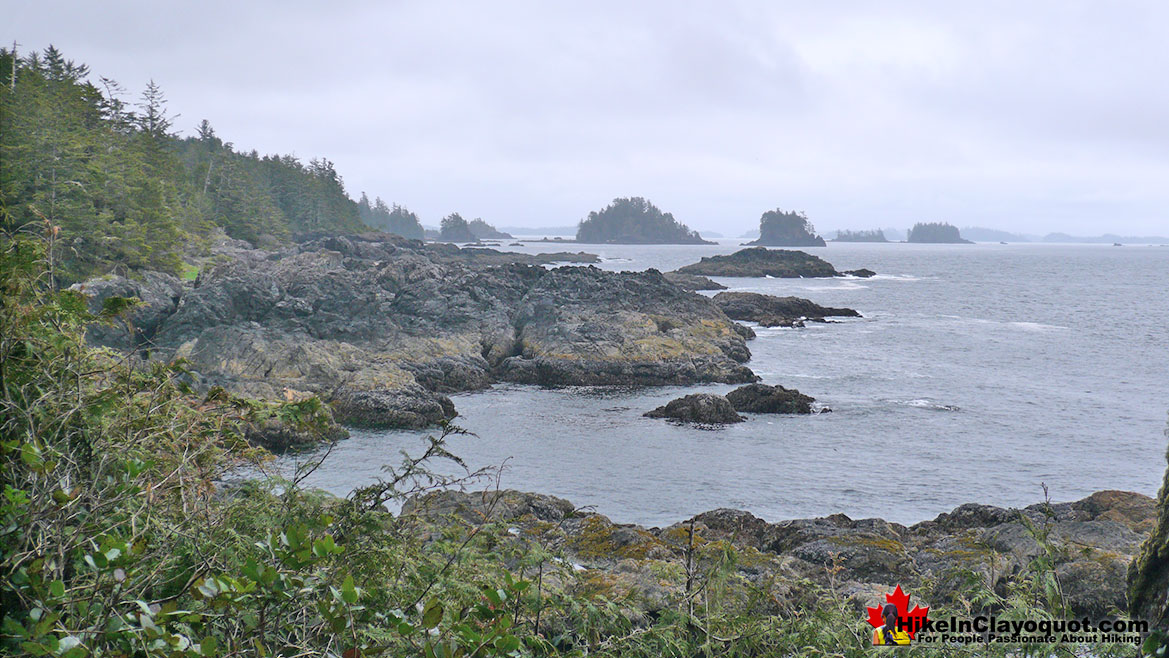 Wild Pacific Lighthouse Trail