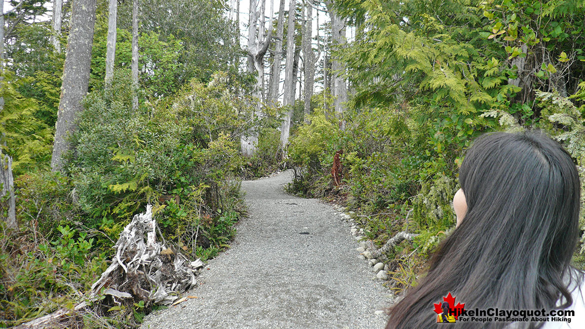 Wild Pacific Lighthouse Trail