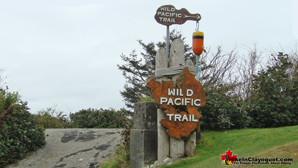 Wild Pacific Lighthouse Trail