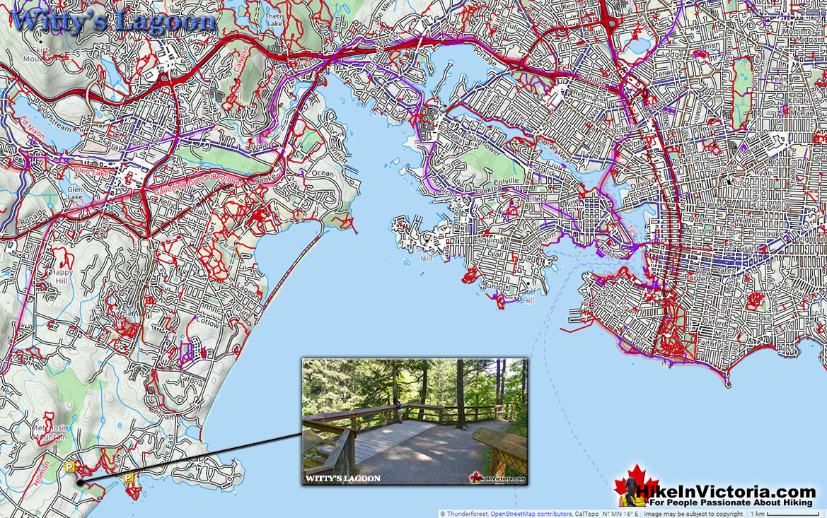 Witty's Lagoon Direction Map